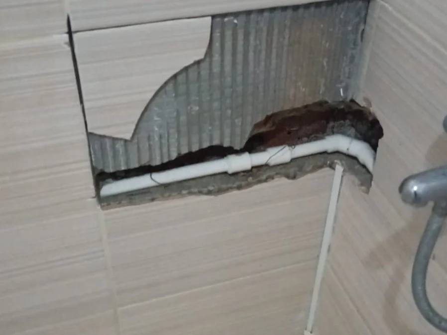 Galeri - Fotoğraf galerisi